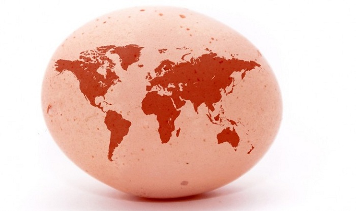 World Egg Day